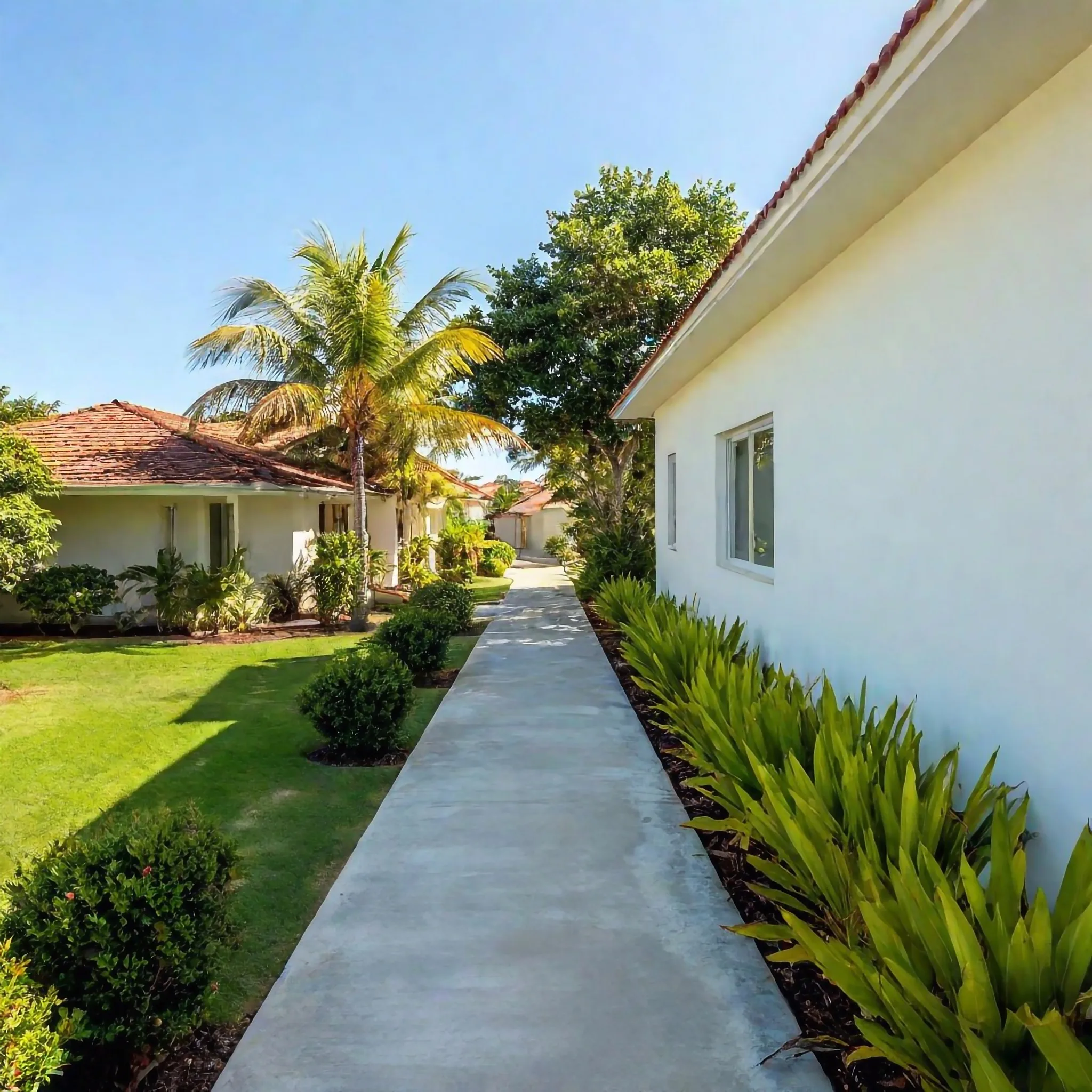 Landscaped concrete pathway beside a Sunshine Coast home